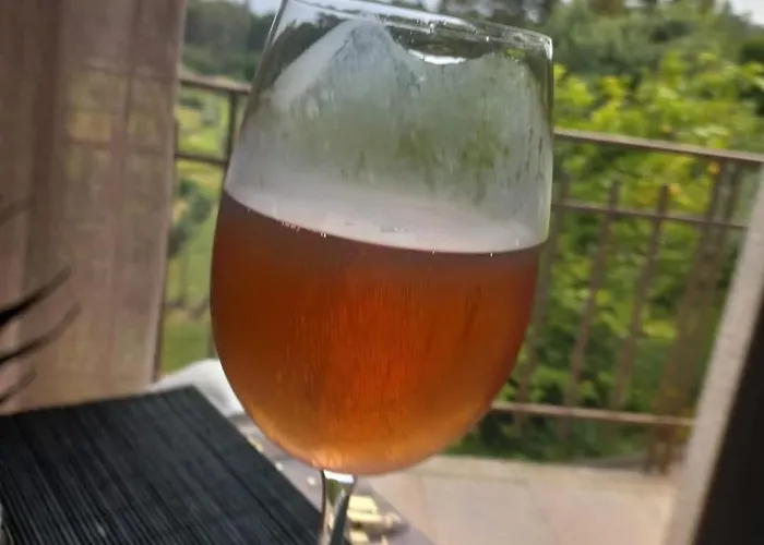 Casa Da Aldeia Casa de Campo